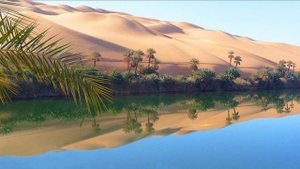 Сахих аль-Бухари, хадисы № 271-280. Фокус темы: ОМОВЕНИЕ - 6