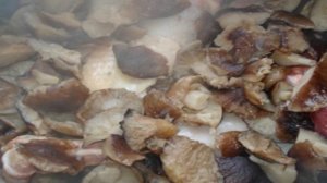 Индейка с картофелем в мультиварке