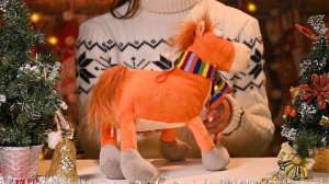 021 Счастливчик