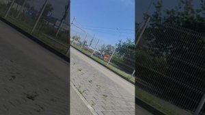 приключения трёх друзей