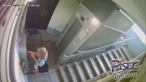 В Питере ищут серийную обсирательницу подъездов — молодая блондинка наср@л@ кучи, подтёрлась чьим...
