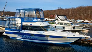 Аренда катера Алдита Владивосток