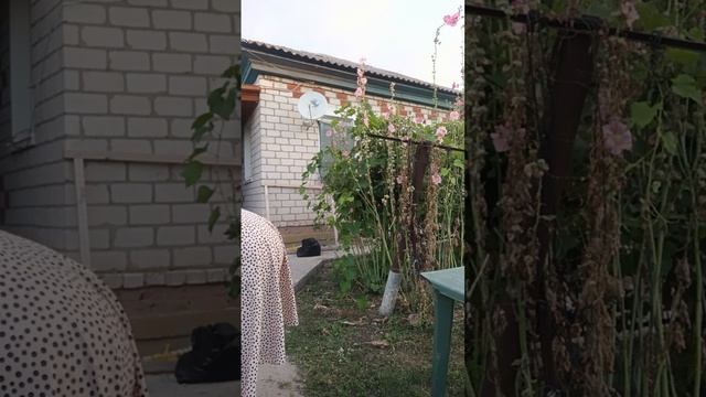 1000184477.mp4 Жилеточки и пуховая мелочь т.89020931602 смотреть онлайн