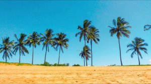 Сахих аль-Бухари, хадисы № 441-450. Фокус темы: МЕЧЕТЬ - 5