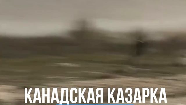 Песец — Бесстрашный Разбойник Арктики. Эксперт по выживанию в Ледяной пустыне! смотреть онлайн