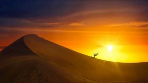 Сахих аль-Бухари, хадисы № 581-590. Фокус темы: МОЛИТВА (НАМАЗ, САЛЯТ) - 8