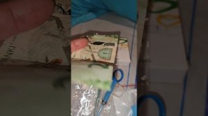 Спасибо моей подписчице из Баку за помощь приюту