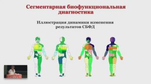 Сегментарная биофункциональная диагностика на аппаратах ИМЕДИС