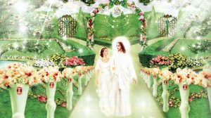 ПОЧЕМУ ОДНИ ХРИСТИАНЕ ГОВОРЯТ О СКОРОМ ВОЗНЕСЕНИИ, А ДРУГИЕ ГОВОРЯТ ОБ ОТДАЛЁННОМ ВОЗНЕСЕНИИ? 2часть