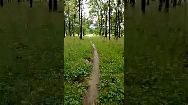 05-08-2025 смотреть онлайн