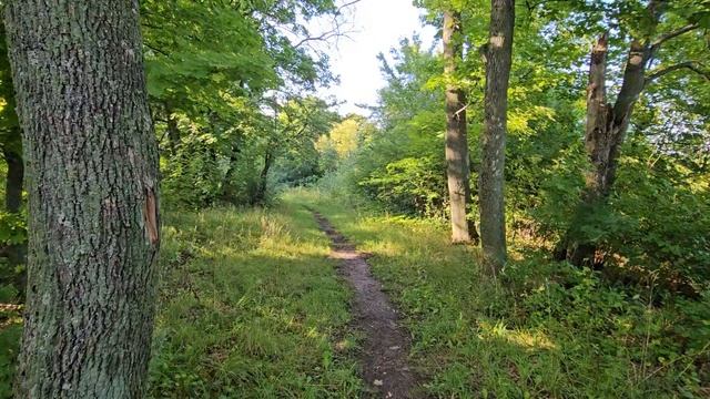 Лыже Роллерная трасса Лебедянь