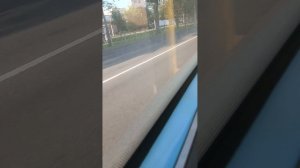 Поездка на Автобусе Номер 390 в сторону Колпино Вокзал борт (10239)