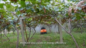 Новинка мирового рынка теперь и в России.