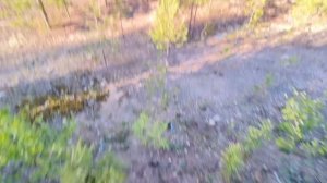 тест-драйв Микрона после модернизации