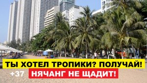 Вьетнам Нячанг погода сегодня 5 августа 2025 ☀️ Жара в Нячанге: +37 — как выживают туристы?