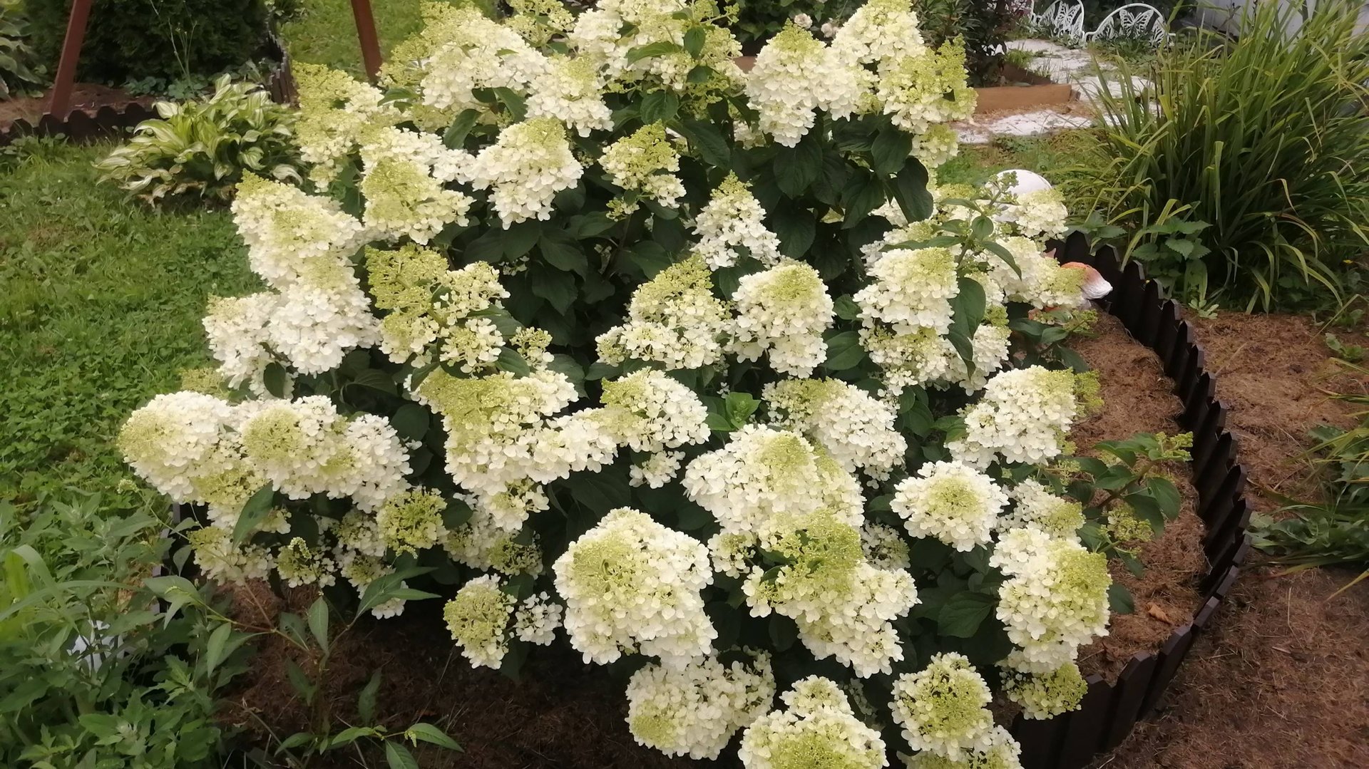 Влог/ И снова дачный отпуск!!!/Привезли внучку/2 - 4 августа/Встретились!Немного посидели/Много дел/ смотреть онлайн