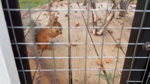 Парк Ути-Пути