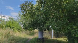 Каникулы в деревне, деревенская прогулка