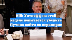 Hill: Уиткофф на этой неделе попытается убедить Путина пойти на перемирие