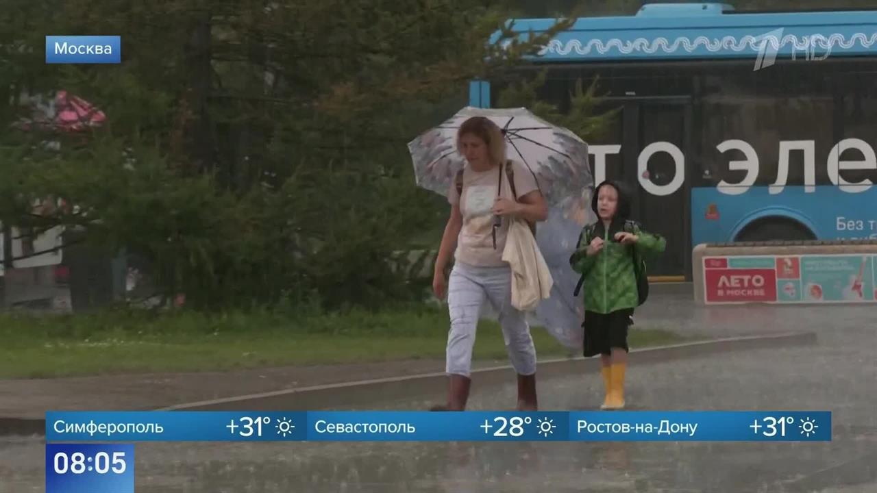 За сутки в Московском регионе выпало до 130% месячной нормы осадков