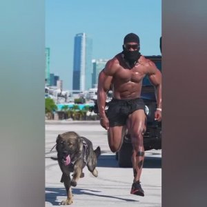 человек против собаки породы малинуа  бег