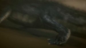 От него НЕВОЗМОЖНО сбежать! Нильский крокодил — Гигантский подводный Монстр!