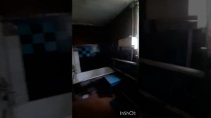 InShot_20250805_165352496.mp4