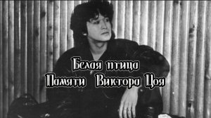 Белая птица - песня памяти Виктора Цоя (21 июня 1962 - 15 августа 1990)