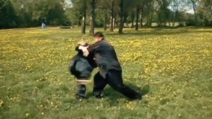 Чин Фансен гранд мастер борьба Илицюань