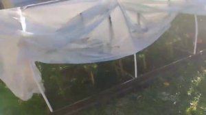 картун кэт 6 серия ААААААА! ребут