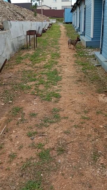 я на море часть 2