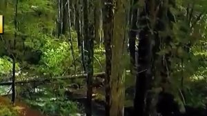 Жизненные истории слушать интересные рассказы - Таинственный случай ть