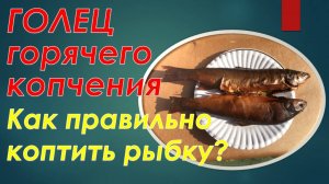 Готовим гольца горячего копчения на ольховых стружках