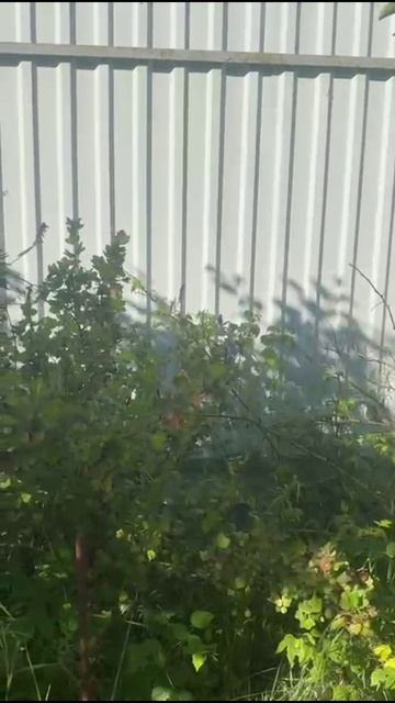 Новенькое смотреть онлайн