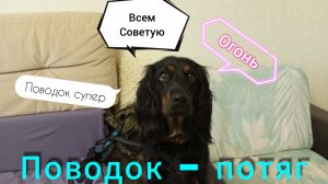 Поводок - потяг