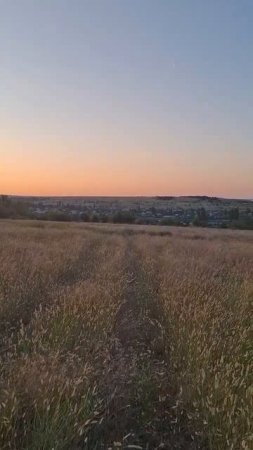 Деревня летом Божественно🔥🏞❤️ #деревня #лето #степи #родина #россия #природа #закат