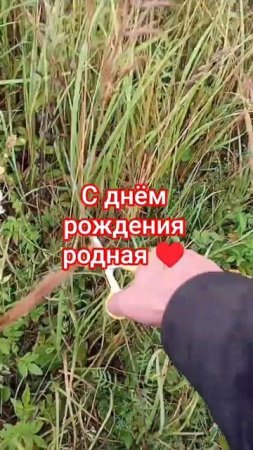 С днём рождения любимая ♥️♥️♥️