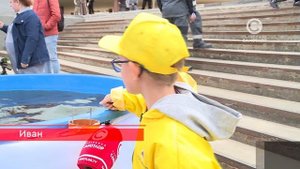 В Обь выпустили 5 тысяч мальков сибирской стерляди