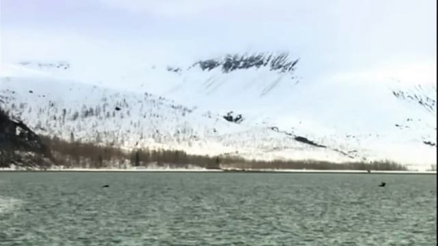 Лесной ТИТАН которого лучше не ЗЛИТЬ! На что способен ЛОСЬ?