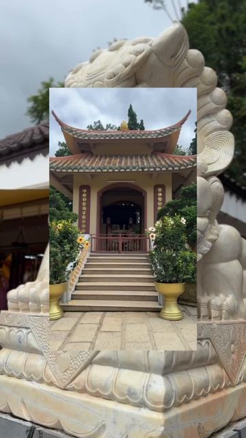 Вьетнам 🇻🇳 смотреть онлайн