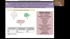 МК Медицинское теория-4