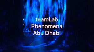 Музей цифрового искусства teamLab Abu Dhabi — звуко-свето-экспозиции