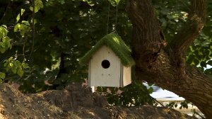 Капремонт детсада в станице Суворовской Предгорного округа