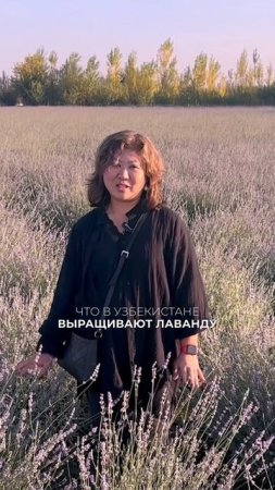 Лавандовое поле в ноябре? ААААА!