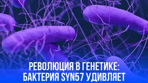 Революция в генетике: как новая бактерия с укороченным кодом перевернула наше понимание жизни