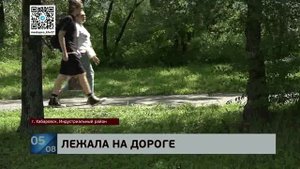 Лежала и махала: на Краснореченской ночью насмерть задавили хабаровчанку, лежавшую на проезжей части