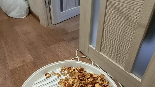 сушилка Ротор  сушила яблоки и груши