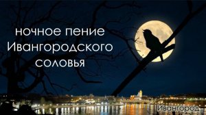 Ивангородские Соловьи