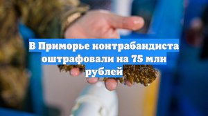 В Приморье контрабандиста оштрафовали на 75 млн рублей
