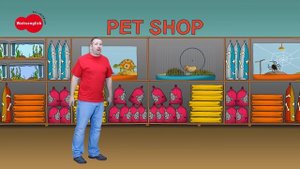 Animal Story for Kids NEW